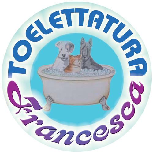 Toelettatura per cani e gatti ad Enna Conlacoda