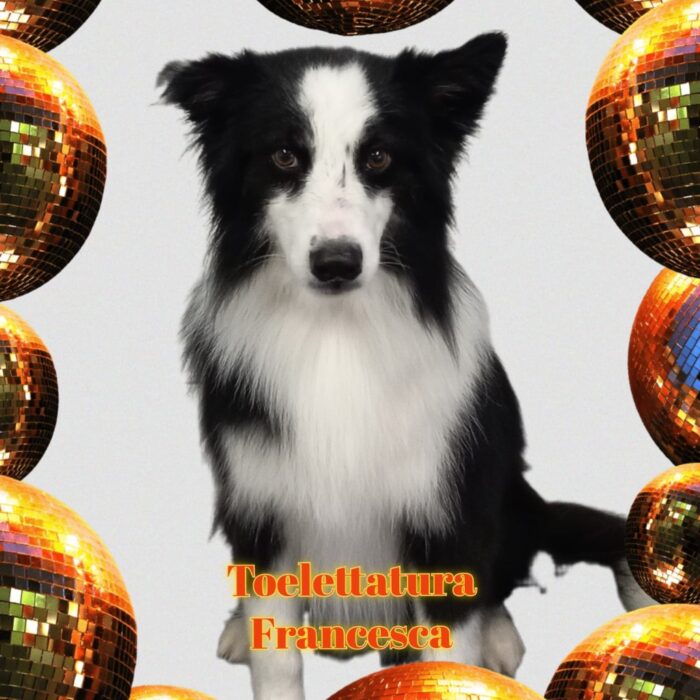 0_a55925414e4d347b0e0d80474cac61f2_1769975060