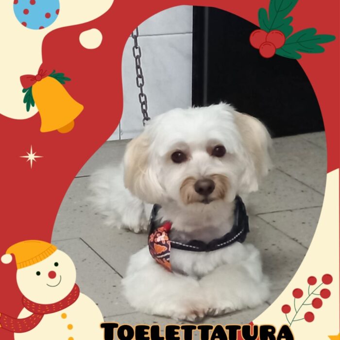 1_a59040d73342a04d65ec9588dc67d510_1769975061