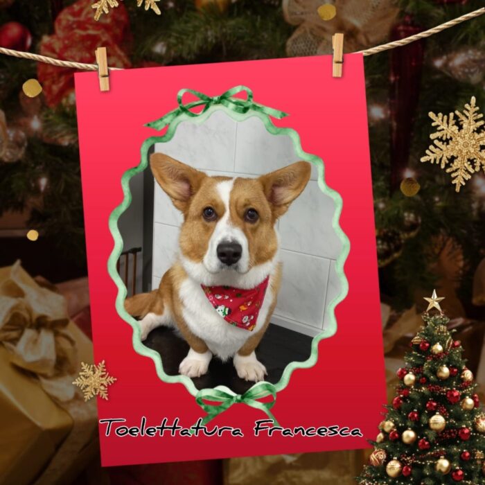 2_a548001deef5820dce4b535b3c344c03_1769975062