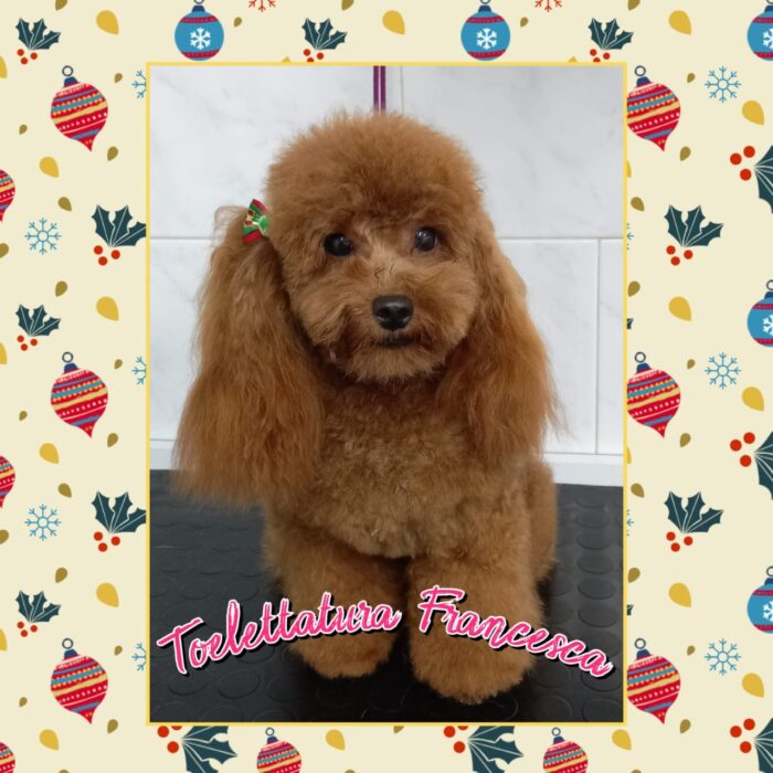 3_a55755ba5ad8897d23a1bb0976941dd5_1769975063