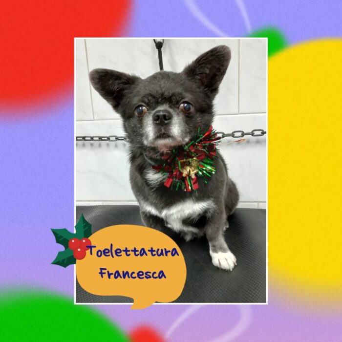 4_a561708ea4ca7448a6416c9c66401858_1769975064