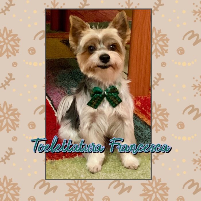 4_a5d294130223a8fe51d149fac4e4a8f4_1769975064