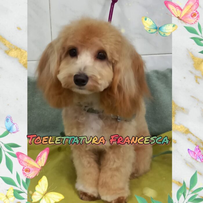 5_a55defbe574e7616c3ebb35678e9e136_1769975065